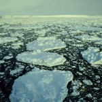 Broken sea ice in the Weddell sea and the Antarctic ice shelf on the horizon